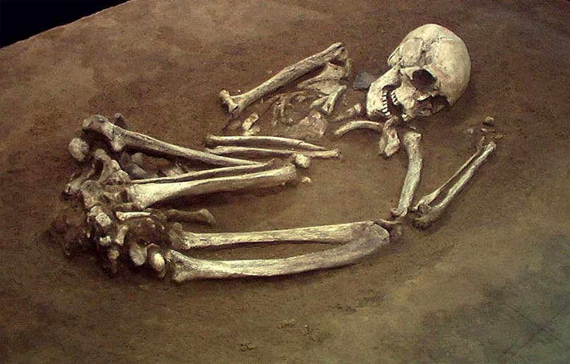 Bigpicture.ru скелет в могиле