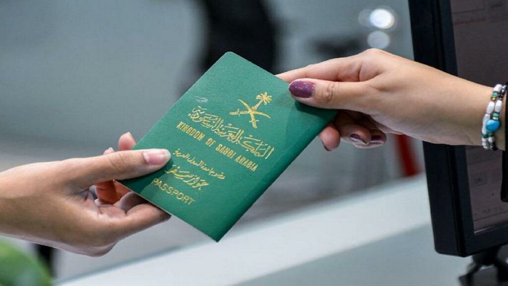 Bigpicture.ru Почему в мире для обложек паспортов используют только четыре цвета