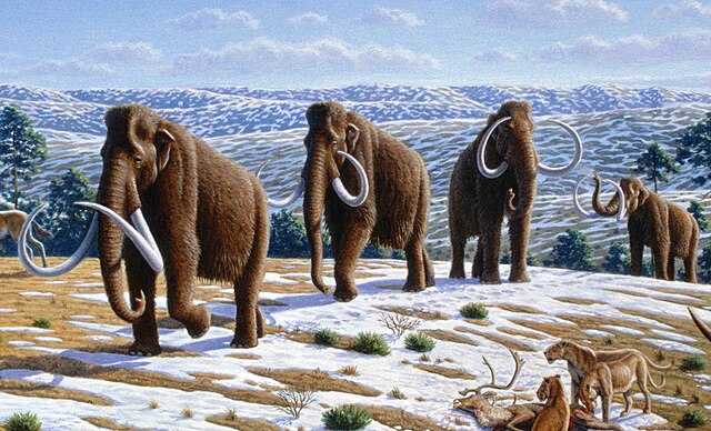 Bigpicture.ru woolly mammoth (mammuthus primigenius) mauricio antón