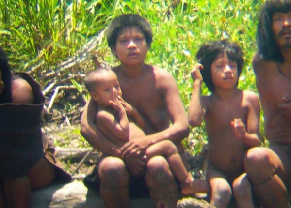 Изолированное племя Машко-Пиро из Амазонии вышло из лесов, чтобы защитить свою землю