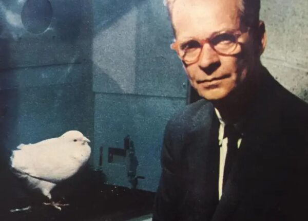 Эксперимент Скиннера: что общего у суеверных людей и голубей