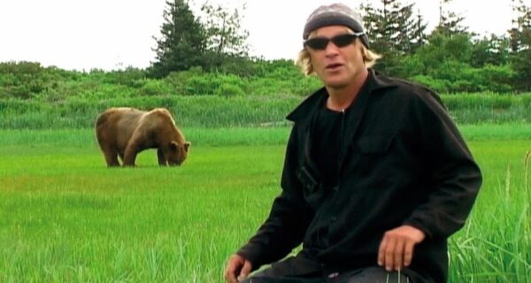 Почему медведи съели своего друга «человека-гризли» Тимоти Тредуэлла