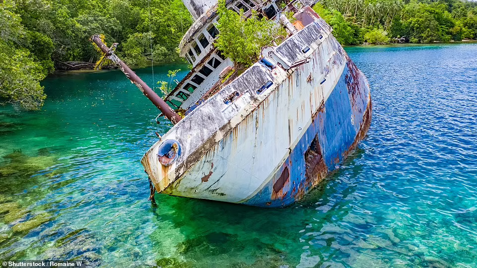 Заброшенный круизный лайнер MS World Discoverer возле пляжа": Вид лайнера со стороны воды, подчеркивающий его доступность для туристов