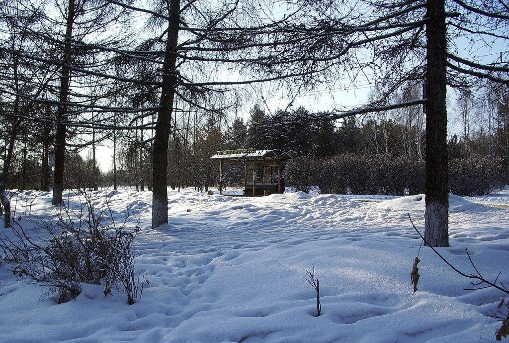 Остановка «Госуниверситет» в Иркутске