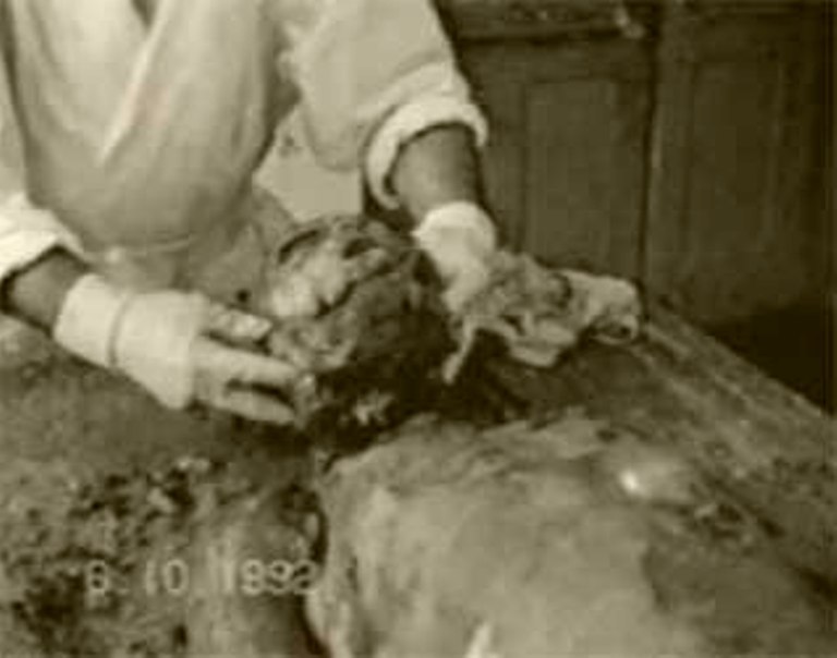 Следователи и криминалисты на месте обнаружения тела жертвы в лесу, 1980-е годы