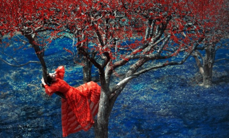 Фотография, напоминающая живопись — Эрик Мадиган Хек (Erik Madigan Heck)