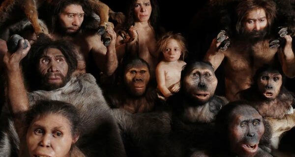 Эволюционные атавизмы: 7 органов, которые нам больше не нужны