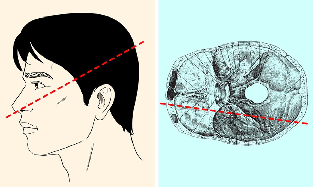 Bigpicture ru s 62530e1b3a86572227df102bf67ae8c2300112f6