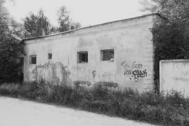 Трагедия на Луковом озере: тела детей свозили в городской морг