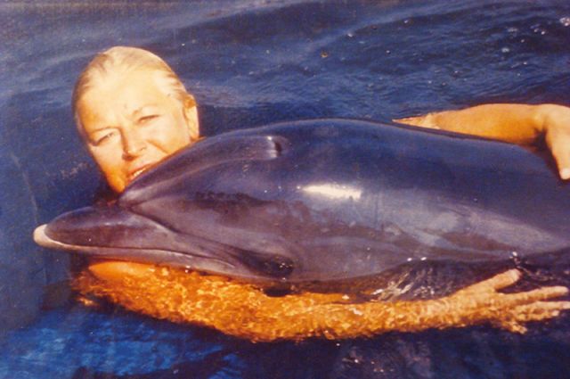 Дельфины в военном дельфинарии