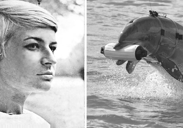 Галина Шурепова — «мать» советских боевых дельфинов