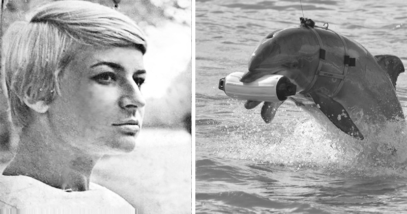 Галина Шурепова с дельфинами