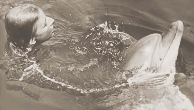 Дельфинарий в Казачьей бухте