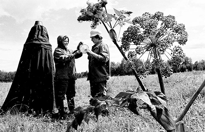 Бригада по борьбе с гнусом на строительстве БАМа