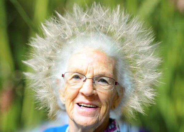 От тифозных палат до бабушки в кино — история выражения «божий одуванчик»