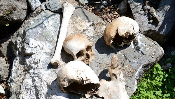 Человеческие черепа и кости, разложенные на столе для антропологического изучения