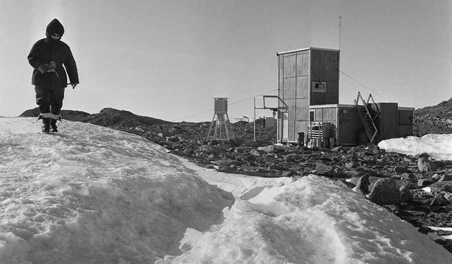 станция Новолазоревская - черно-белое фото