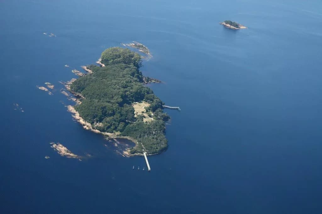 Вид с высоты на остров Сара: небольшой клочок земли в центре темной бухты, окруженный густым лесом