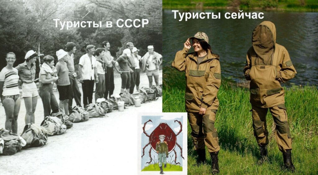 Современная обработка парков от клещей