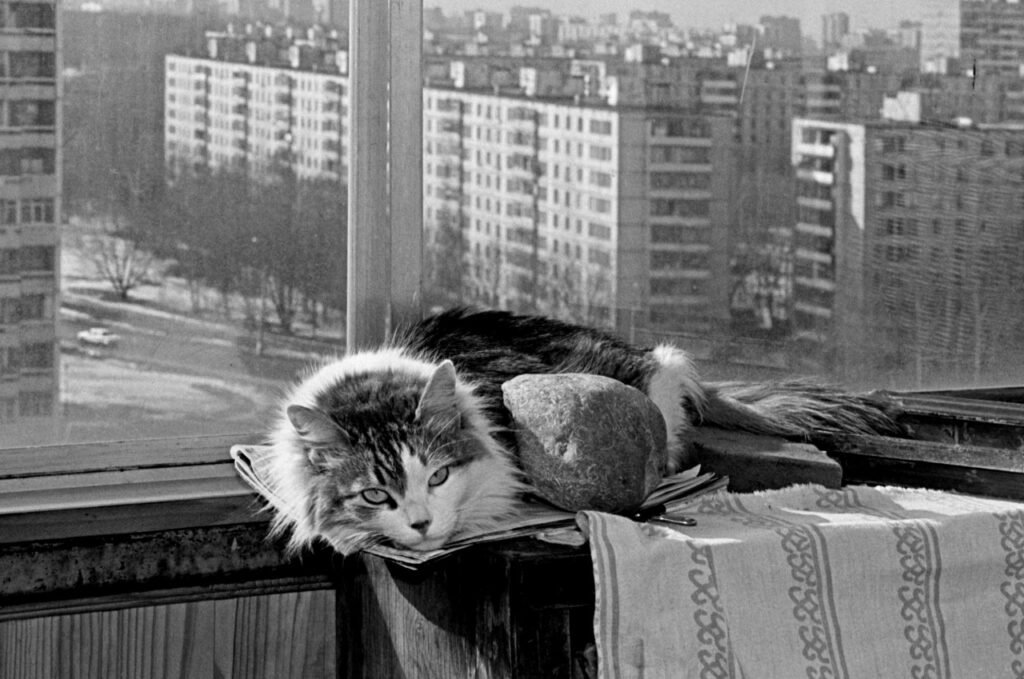 Шарлотта в Москве, 1998 год, фото Игоря Пальмина