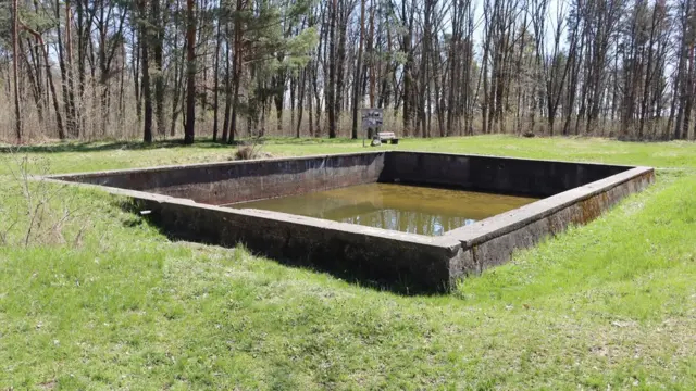Бассейн в комплексе Вервольф