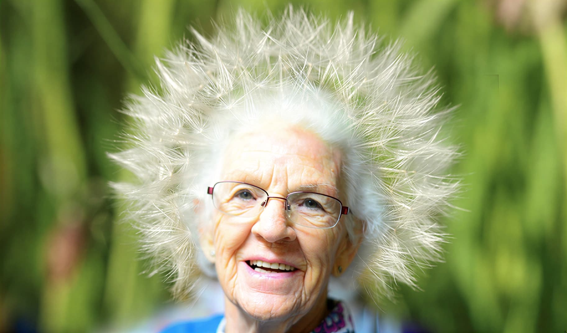 Бабушка божий одуванчик