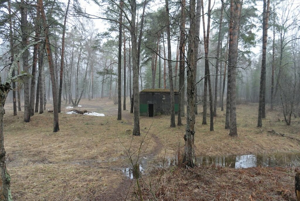 Современный вид надземной части бункера Беренхалле