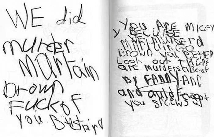 Записки Мэри Белл об убийствах вещественные доказательства