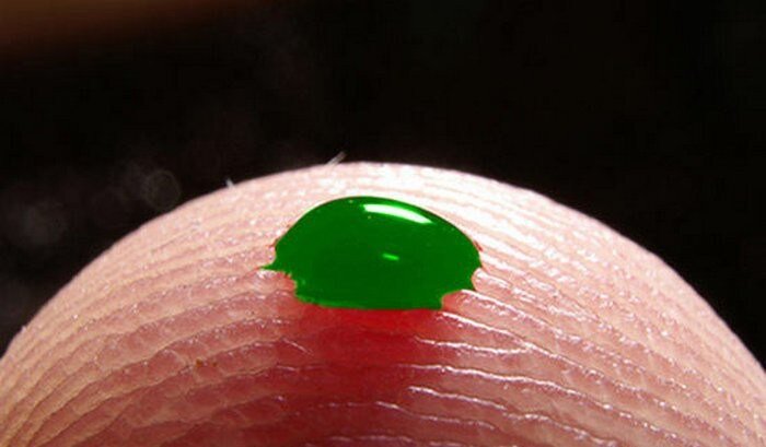 Капля зеленой крови на коже