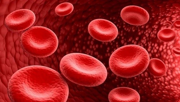 Bigpicture ru xt08ybjsifywqg113cx499j70so4hxjs