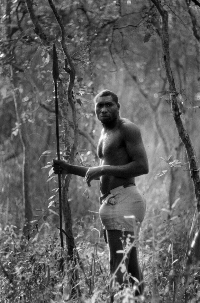 Охотник с копьём в Убанги-Шари, Центральная Африка, 1957 год