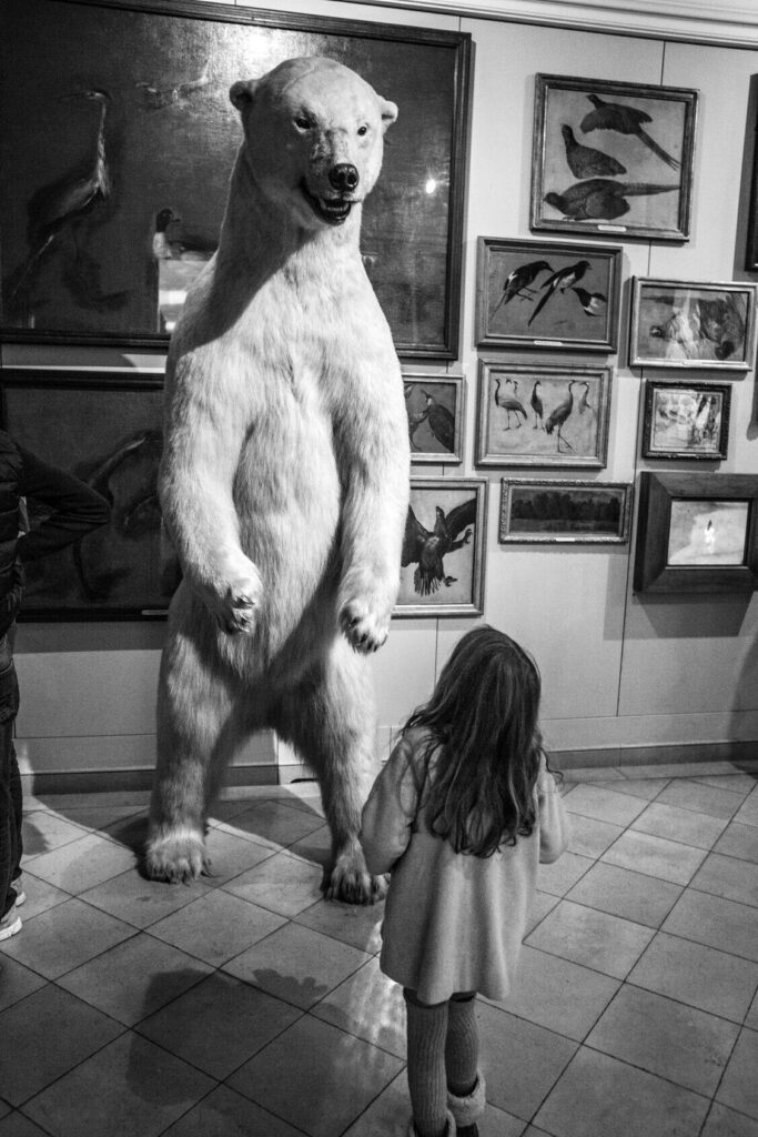 Музей охоты Париж кадр Gérard Uféras январь 2017