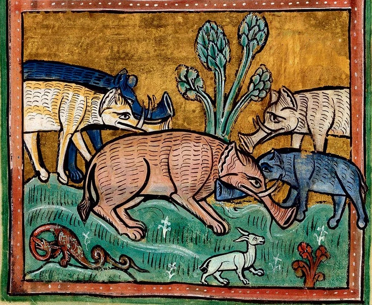 Иллюстрация из книги XIII века: слоны помогают упавшему собрату