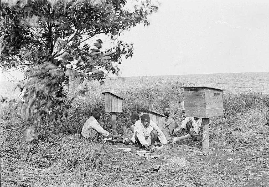 установка ловушек на мух цеце в Африке
