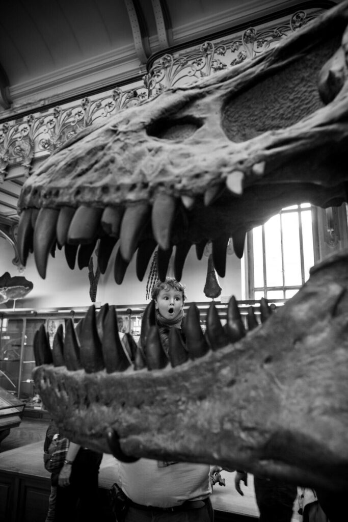 Ботанический сад Париж работа Gérard Uféras октябрь 2016