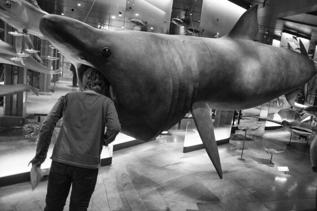 Музейная серия французского фотографа Gérard Uféras