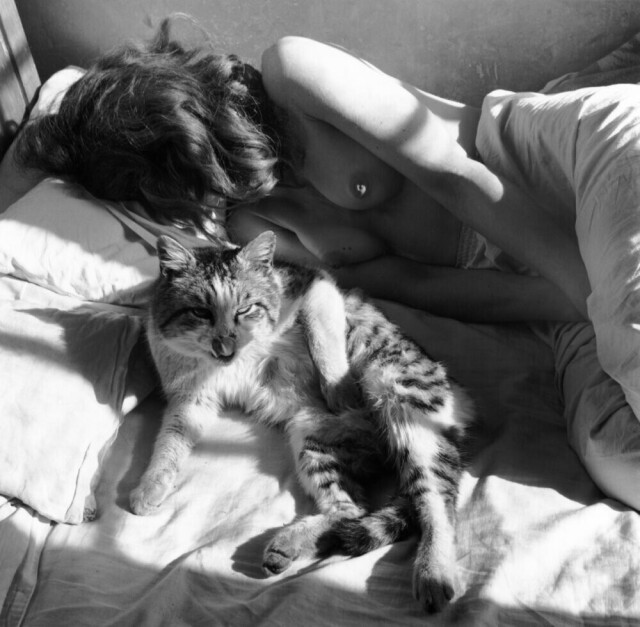 Ата Кандо с котом на кровати в Париже