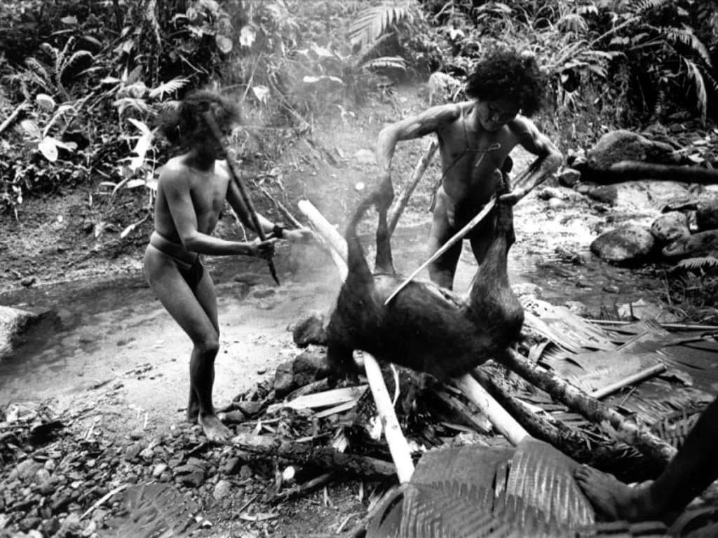 Тасадай готовят еду на костре в пещере 1971