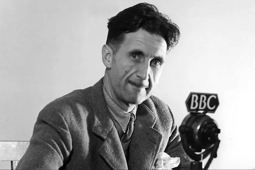 Bigpicture ru 5655280 orvelll ls