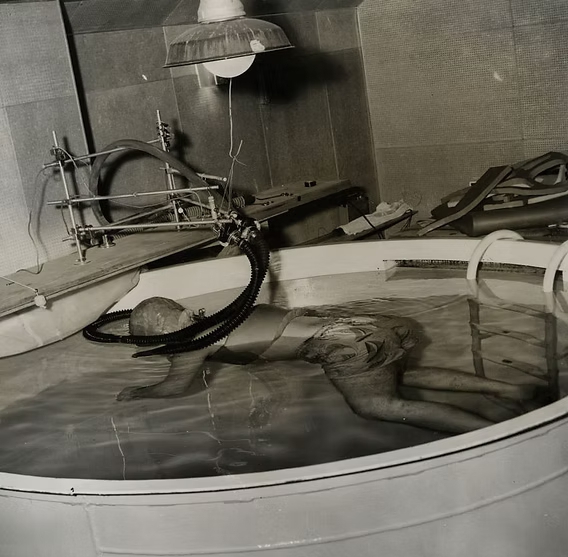 Одна из первых камер сенсорной депривации, изобретённых Джоном Лилли