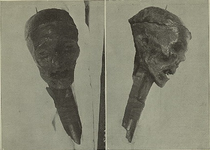 Голова Оливера Кромвеля на фотографии 1911 года