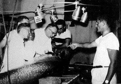 Джон Лилли с коллегами в лаборатории за работой с оборудованием