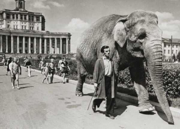 Эммануил Евзерихин: летопись советской эпохи в объективе классика фотографии