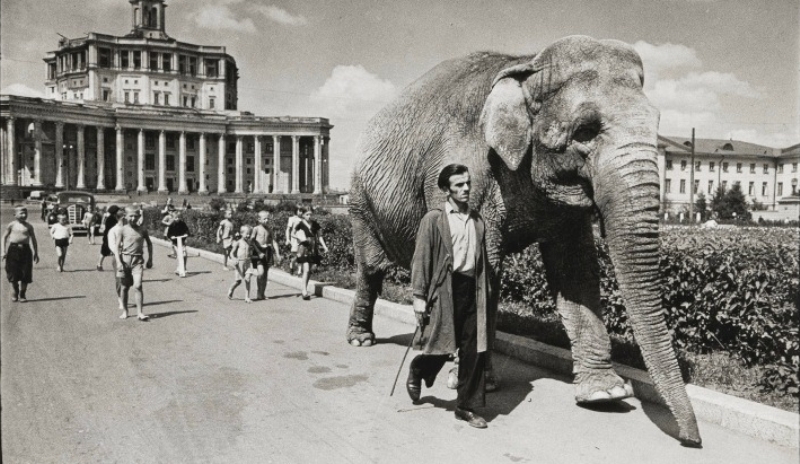 Эммануил Евзерихин за работой: советский фотокорреспондент на фронте