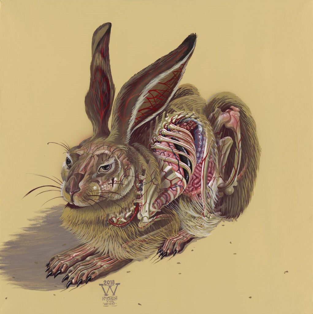 Анатомическое граффити Нихоса кролик многослойное изображение стрит-арт