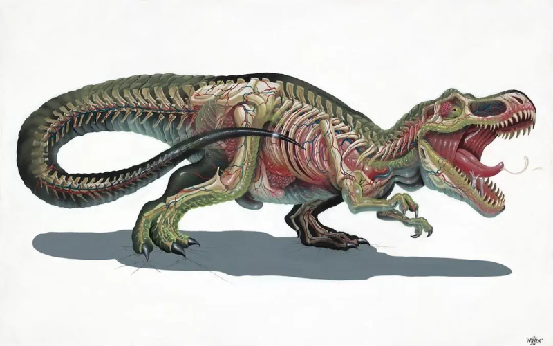Тиранозавр скелет анатомия динозавра граффити Nychos уличное искусство