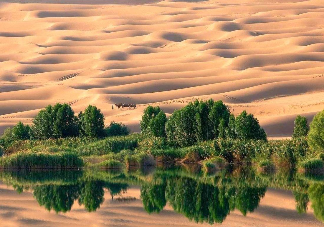 Оазис среди песчаных дюн в центральной части пустыни Сахара