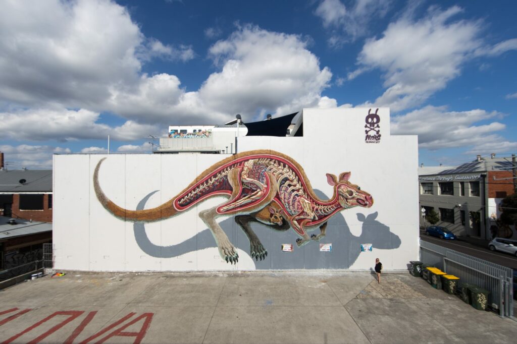 Анатомический срез кенгуру граффити Nychos техника слоев стрит-арт