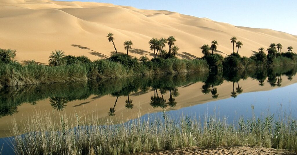 Небольшое озеро в оазисе среди пустыни