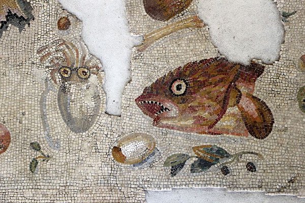 Деталь мозаики с раковинами иглянки &mdash; источника трирского пурпура